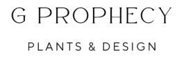 G Prophecy